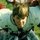 Fb_profile_picture.thumb