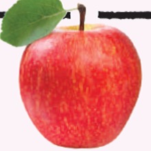 Appleimagecropped.large