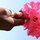 Fb_profile_picture.thumb