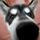 Fb_profile_picture.thumb