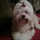 Cid_img00279.thumb