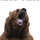 Bear.thumb