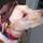 Fb_profile_picture.thumb