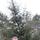 Fb_profile_picture.thumb