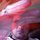 Fb_profile_picture.thumb