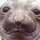 Fb_profile_picture.thumb