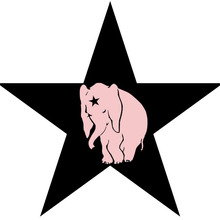 Elephant-star-pink.large