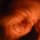Fb_profile_picture.thumb