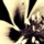 Insflower.thumb