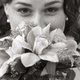 Erin_flowers