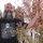 Fb_profile_picture.thumb