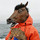 Avatar_horse.thumb