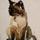 Simaese_cat.36351815_logo.thumb