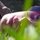 Fb_profile_picture.thumb