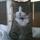 Fb_profile_picture.thumb