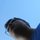 Fb_profile_picture.thumb
