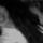 Fb_profile_picture.thumb