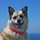 100_3033.thumb