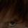 Fb_profile_picture.thumb