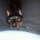 Fb_profile_picture.thumb