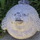 Bloatedbird.thumb