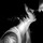Liz_icon08.thumb