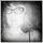 300176_10150442222097785_563087784_10732425_1580079_n.thumb