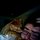 Fb_profile_picture.thumb