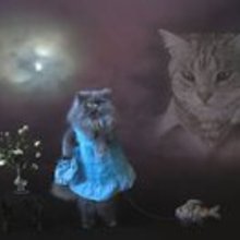 Fb_profile_picture.large
