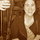 100_1389.thumb