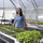Laura_farm_6.thumb