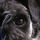 Dscn0659.thumb