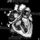Heart_blackonwhite