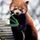 220px-ailurus_fulgens_roterpanda_lesserpanda.thumb