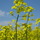 Img_0411.thumb