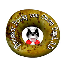 Friskylogo_whitebackground.large