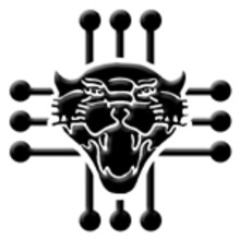 Panther2b.large