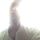 Fb_profile_picture.thumb
