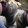 Dsc04631.thumb