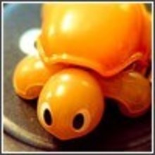 Orange_turtle.large