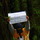 Love_icon.thumb