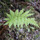 12_park_01.thumb