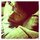 Fb_profile_picture.thumb