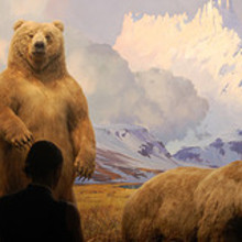 2542638611_791c403861_m.large