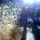 3523311689_edb31af115_o.thumb