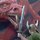 Fb_profile_picture.thumb