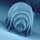Tardigrade.thumb