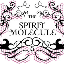 Dmt_final_logo.large