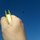 Fb_profile_picture.thumb