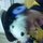 Fb_profile_picture.thumb